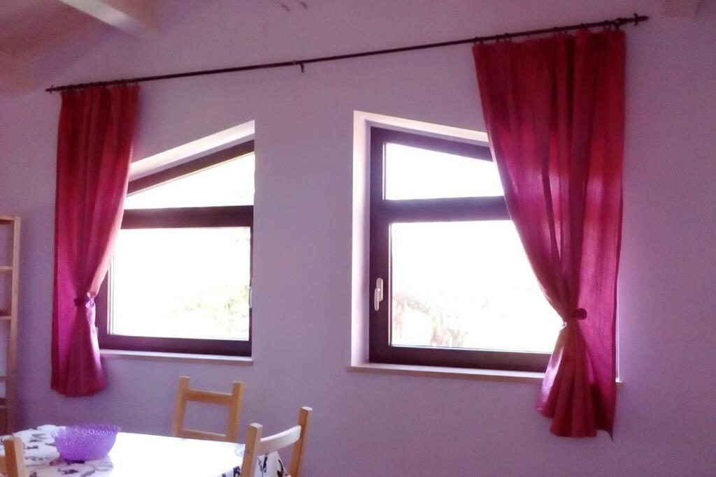 شقة Residenza Flores بيسكارا المظهر الخارجي الصورة